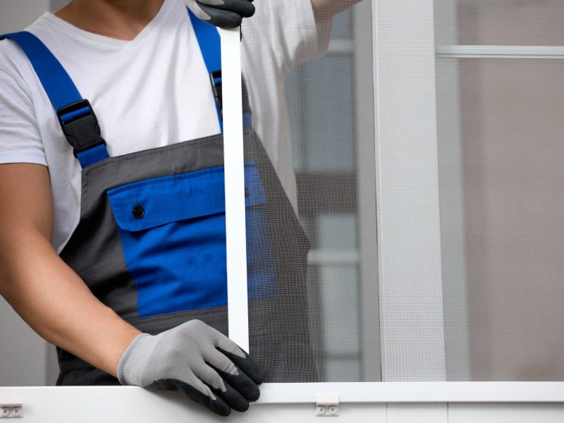 Design ohne Titel - 16