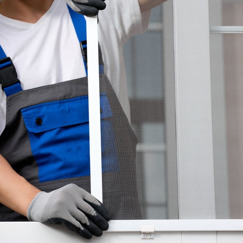 Design ohne Titel - 16